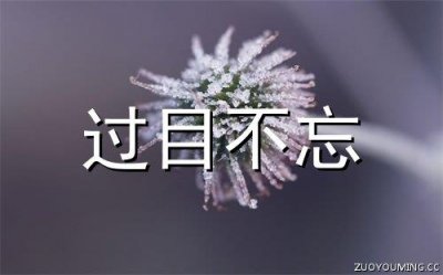 ​那些美到哭的句子(28句)