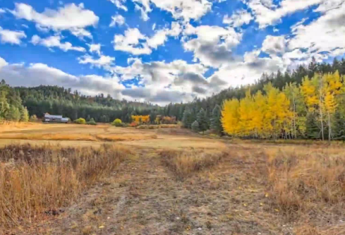 1711050551242462.png image.png