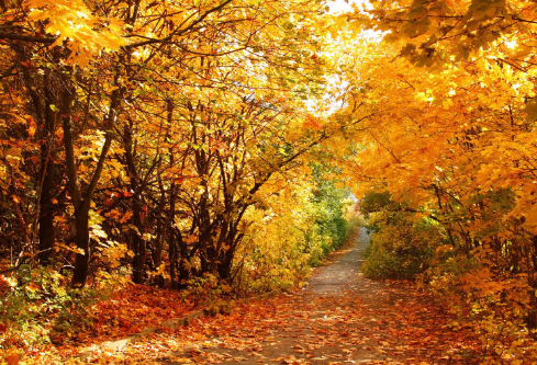 1688407994870223.png image.png