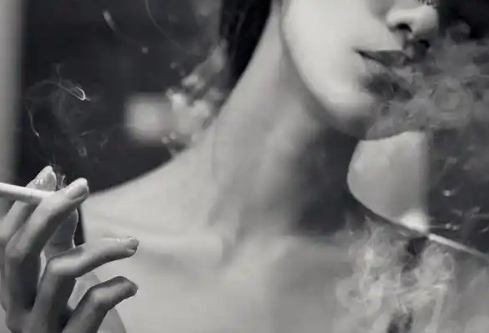 1767115403295304.png image.png