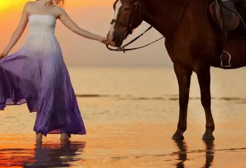 1767539161285997.png image.png